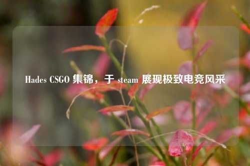 Hades CSGO 集锦,于 steam 展现极致电竞风采