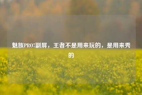 魅族PRO7副屏,王者不是用来玩的,是用来秀的
