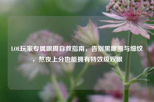 LOL玩家专属眼周自救指南,告别黑眼圈与细纹,熬夜上分也能拥有特效级双眼