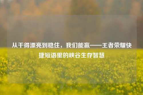 从干得漂亮到稳住，我们能赢——王者荣耀快捷短语里的峡谷生存智慧