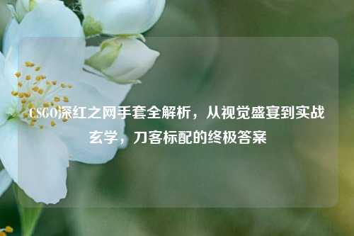 CSGO深红之网手套全解析,从视觉盛宴到实战玄学,刀客标配的终极答案
