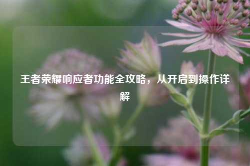 王者荣耀响应者功能全攻略，从开启到操作详解