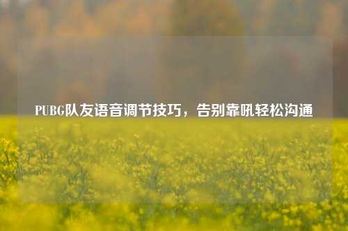 PUBG队友语音调节技巧，告别靠吼轻松沟通