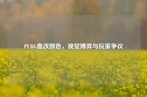 PUBG血改颜色,视觉博弈与玩家争议