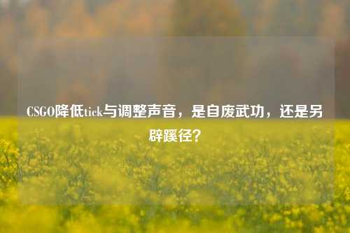 CSGO降低tick与调整声音,是自废武功,还是另辟蹊径?