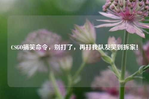 CSGO搞笑命令,别打了,再打我队友笑到拆家!