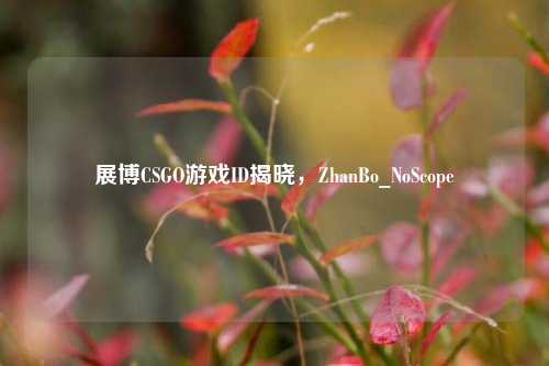 展博CSGO游戏ID揭晓,ZhanBo_NoScope