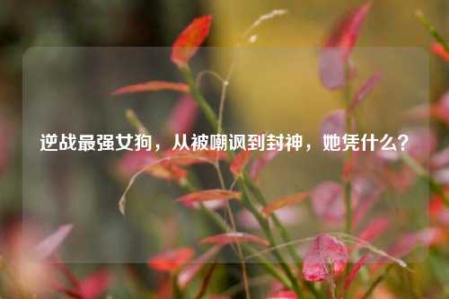 逆战最强女狗，从被嘲讽到封神，她凭什么？