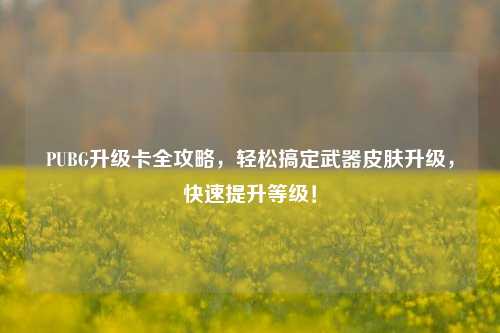 PUBG升级卡全攻略,轻松搞定武器皮肤升级,快速提升等级!