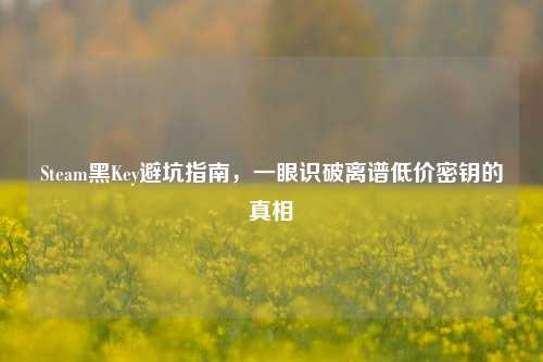 Steam黑Key避坑指南,一眼识破离谱低价密钥的真相