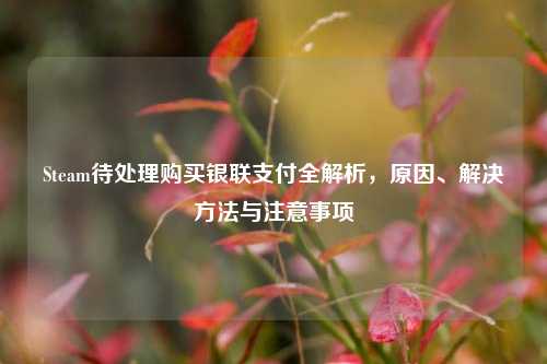 Steam待处理购买银联支付全解析,原因、解决方法与注意事项