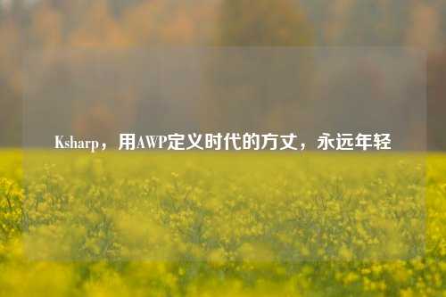 Ksharp,用AWP定义时代的方丈,永远年轻