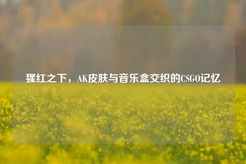 猩红之下,AK皮肤与音乐盒交织的CSGO记忆