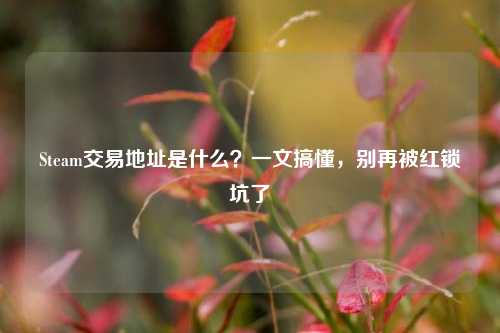 Steam交易地址是什么?一文搞懂,别再被红锁坑了