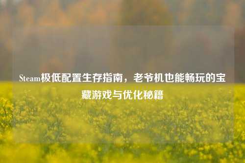 Steam极低配置生存指南,老爷机也能畅玩的宝藏游戏与优化秘籍