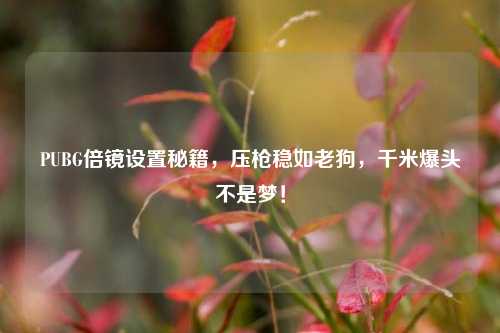 PUBG倍镜设置秘籍,压枪稳如老狗,千米爆头不是梦!