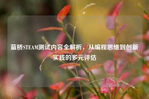 蓝桥STEAM测试内容全解析,从编程思维到创新实践的多元评估