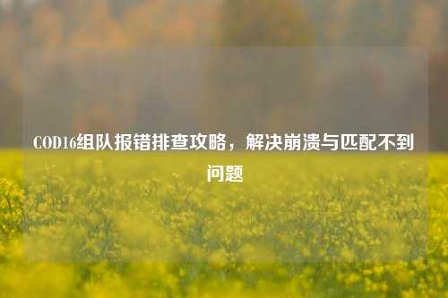 COD16组队报错排查攻略,解决崩溃与匹配不到问题