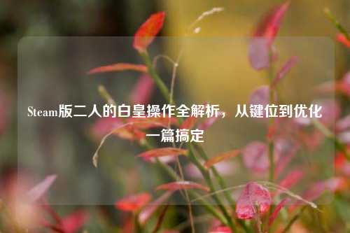 Steam版二人的白皇操作全解析,从键位到优化一篇搞定