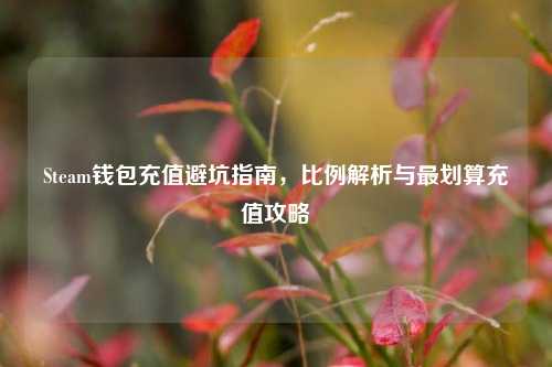 Steam钱包充值避坑指南，比例解析与最划算充值攻略