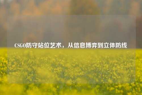 CSGO防守站位艺术，从信息博弈到立体防线