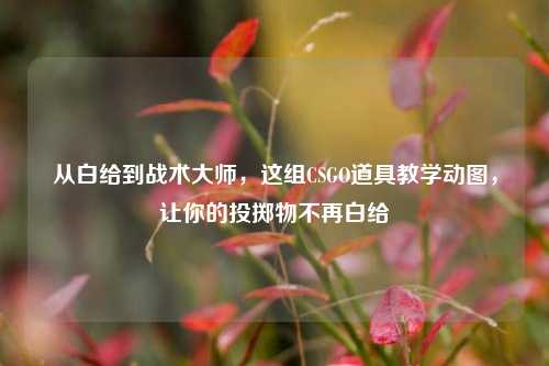 从白给到战术大师,这组CSGO道具教学动图,让你的投掷物不再白给