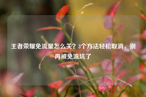 王者荣耀免流量怎么关？3个方法轻松取消，别再被免流坑了
