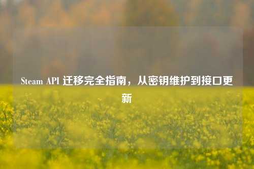 Steam API 迁移完全指南,从密钥维护到接口更新