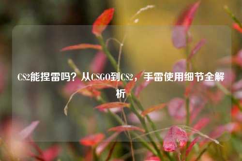 CS2能捏雷吗?从CSGO到CS2,手雷使用细节全解析