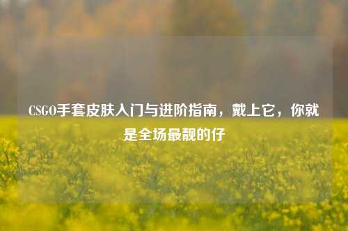 CSGO手套皮肤入门与进阶指南,戴上它,你就是全场最靓的仔
