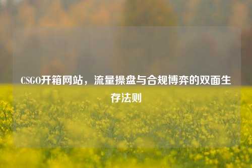 CSGO开箱网站,流量操盘与合规博弈的双面生存法则