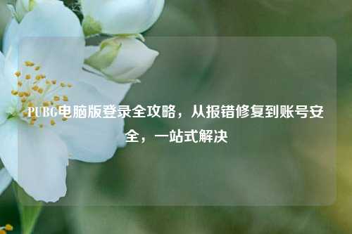 PUBG电脑版登录全攻略，从报错修复到账号安全，一站式解决