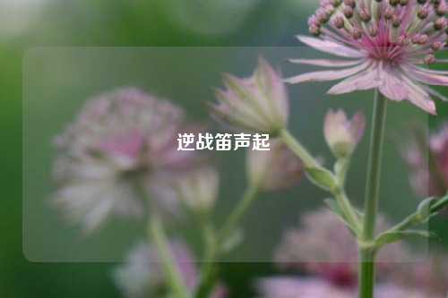 逆战笛声起
