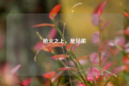 枪火之上,是兄弟