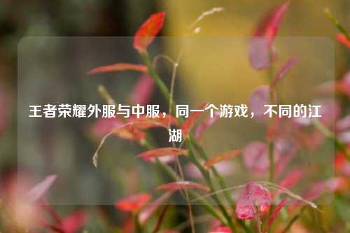 王者荣耀外服与中服,同一个游戏,不同的江湖