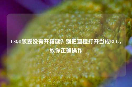 CSGO胶囊没有开箱键?别把直接打开当成BUG,教你正确操作