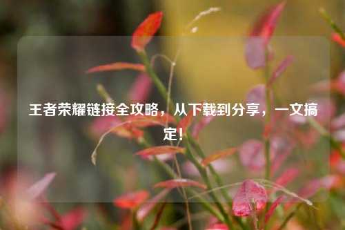 王者荣耀链接全攻略,从下载到分享,一文搞定!