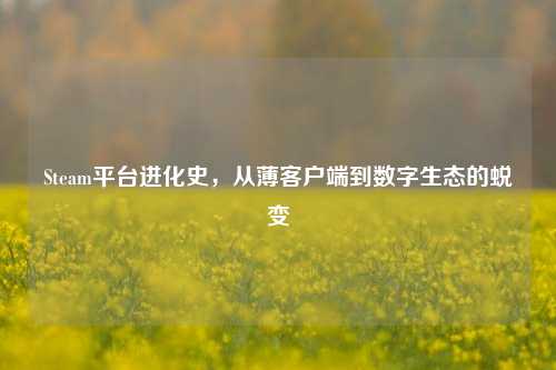 Steam平台进化史，从薄客户端到数字生态的蜕变
