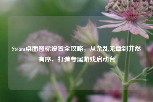 Steam桌面图标设置全攻略,从杂乱无章到井然有序,打造专属游戏启动台