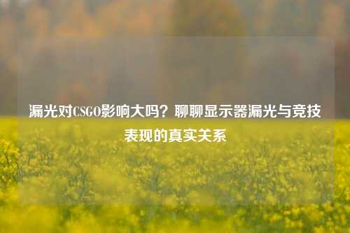 漏光对CSGO影响大吗？聊聊显示器漏光与竞技表现的真实关系