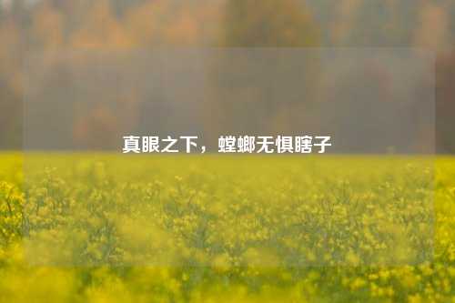 真眼之下,螳螂无惧瞎子