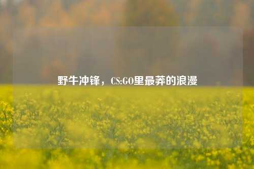 野牛冲锋，CS:GO里最莽的浪漫