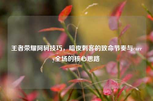 王者荣耀阿轲技巧,暗夜刺客的致命节奏与carry全场的核心思路