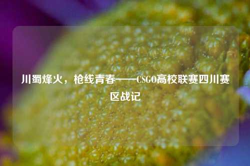 川蜀烽火,枪线青春——CSGO高校联赛四川赛区战记