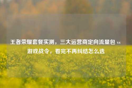 王者荣耀套餐实测,三大运营商定向流量包 vs 游戏战令,看完不再纠结怎么选