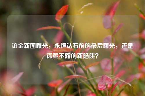 铂金新图曝光，永恒钻石前的最后曙光，还是深藏不露的新陷阱？