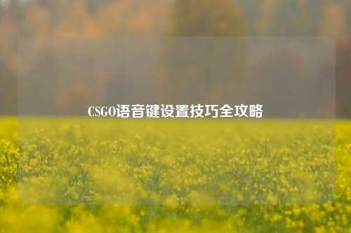 CSGO语音键设置技巧全攻略