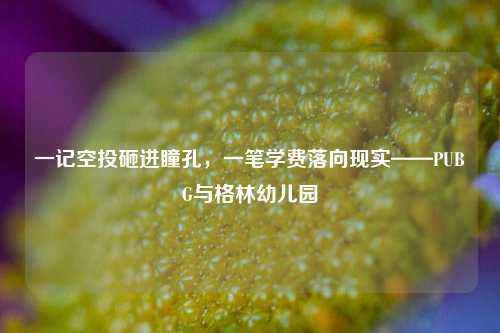 一记空投砸进瞳孔,一笔学费落向现实——PUBG与格林幼儿园
