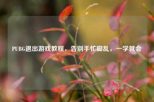 PUBG退出游戏教程,告别手忙脚乱,一学就会