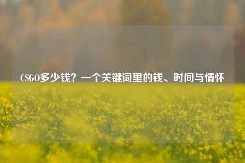 CSGO多少钱？一个关键词里的钱、时间与情怀